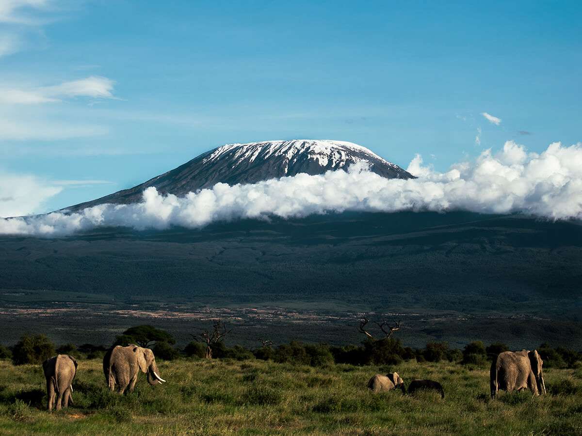 INTERESTING FACTS ABOUT MT. KILIMANJARO. - Nairobi And Beyond Safaris ...